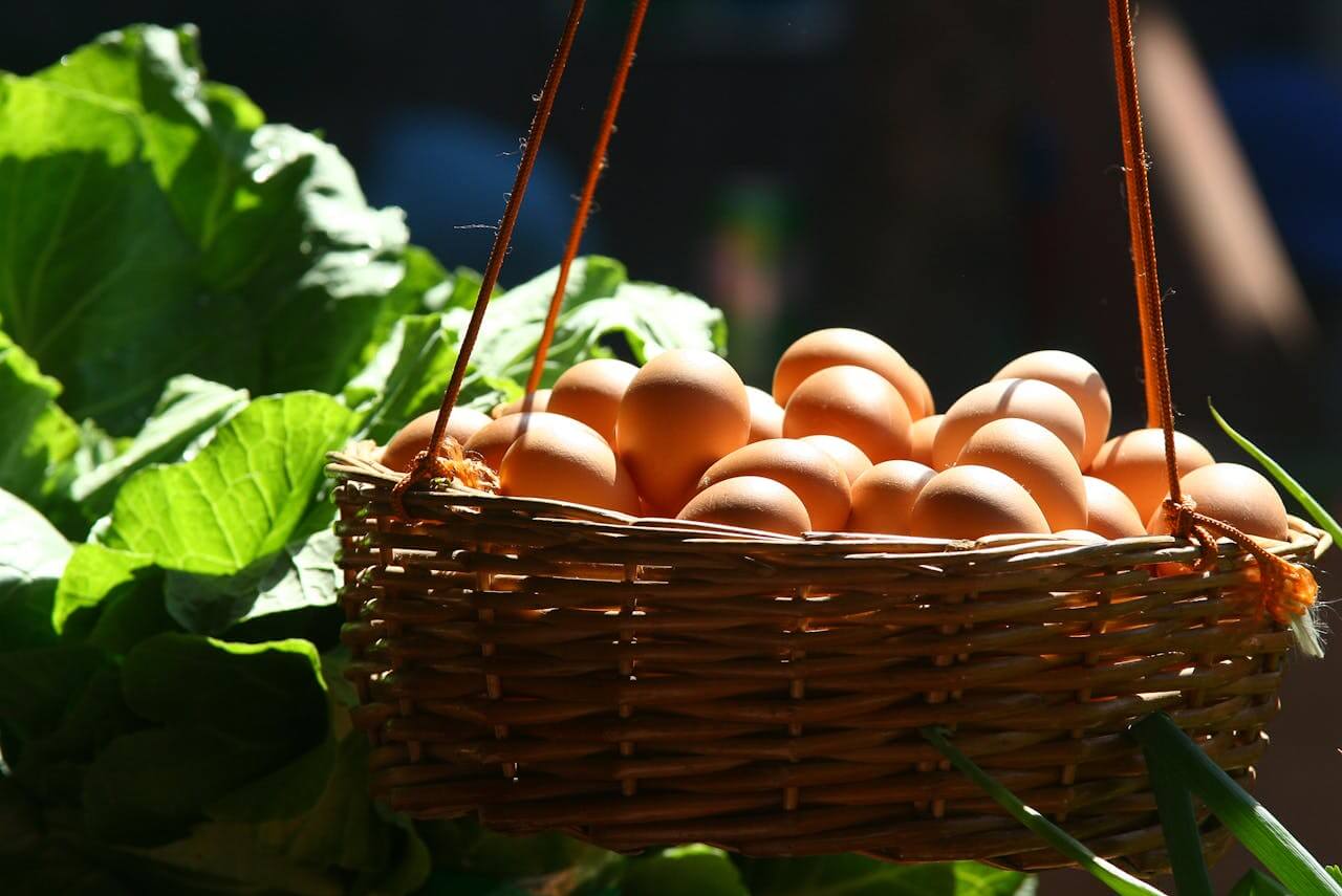 eggs in a basket